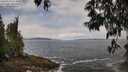 ./images/koeye/fitz-hugh/20250518/fitz-hugh20250518_114010M.jpg