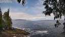 ./images/koeye/fitz-hugh/20250518/fitz-hugh20250518_114511M.jpg