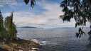 ./images/koeye/fitz-hugh/20250518/fitz-hugh20250518_120011M.jpg