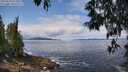 ./images/koeye/fitz-hugh/20250518/fitz-hugh20250518_121009M.jpg