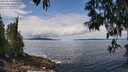 ./images/koeye/fitz-hugh/20250518/fitz-hugh20250518_122510M.jpg