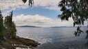 ./images/koeye/fitz-hugh/20250518/fitz-hugh20250518_130510M.jpg