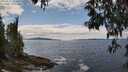 ./images/koeye/fitz-hugh/20250518/fitz-hugh20250518_133510M.jpg