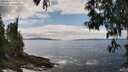 ./images/koeye/fitz-hugh/20250518/fitz-hugh20250518_134511M.jpg