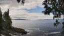 ./images/koeye/fitz-hugh/20250518/fitz-hugh20250518_135010M.jpg