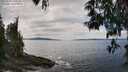 ./images/koeye/fitz-hugh/20250518/fitz-hugh20250518_135510M.jpg