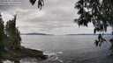 ./images/koeye/fitz-hugh/20250518/fitz-hugh20250518_140011M.jpg