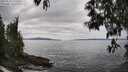./images/koeye/fitz-hugh/20250518/fitz-hugh20250518_141008M.jpg