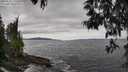 ./images/koeye/fitz-hugh/20250518/fitz-hugh20250518_142510M.jpg