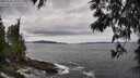 ./images/koeye/fitz-hugh/20250518/fitz-hugh20250518_143510M.jpg