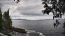 ./images/koeye/fitz-hugh/20250518/fitz-hugh20250518_144010M.jpg