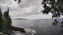 ./images/koeye/fitz-hugh/20250518/fitz-hugh20250518_145510M.jpg