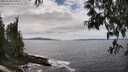./images/koeye/fitz-hugh/20250518/fitz-hugh20250518_150011M.jpg