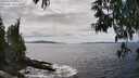 ./images/koeye/fitz-hugh/20250518/fitz-hugh20250518_150510M.jpg