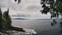 ./images/koeye/fitz-hugh/20250518/fitz-hugh20250518_151511M.jpg