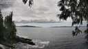 ./images/koeye/fitz-hugh/20250518/fitz-hugh20250518_152510M.jpg