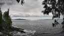 ./images/koeye/fitz-hugh/20250518/fitz-hugh20250518_153011M.jpg