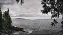 ./images/koeye/fitz-hugh/20250518/fitz-hugh20250518_153510M.jpg