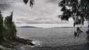 ./images/koeye/fitz-hugh/20250518/fitz-hugh20250518_154510M.jpg