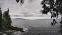 ./images/koeye/fitz-hugh/20250518/fitz-hugh20250518_155010M.jpg