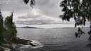 ./images/koeye/fitz-hugh/20250518/fitz-hugh20250518_160012M.jpg