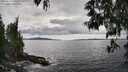 ./images/koeye/fitz-hugh/20250518/fitz-hugh20250518_160509M.jpg