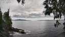 ./images/koeye/fitz-hugh/20250518/fitz-hugh20250518_161010M.jpg