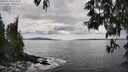 ./images/koeye/fitz-hugh/20250518/fitz-hugh20250518_162010M.jpg
