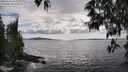 ./images/koeye/fitz-hugh/20250518/fitz-hugh20250518_165510M.jpg