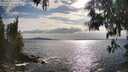 ./images/koeye/fitz-hugh/20250518/fitz-hugh20250518_174510M.jpg