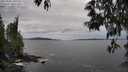 ./images/koeye/fitz-hugh/20250518/fitz-hugh20250518_181510M.jpg