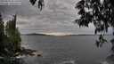 ./images/koeye/fitz-hugh/20250518/fitz-hugh20250518_185010M.jpg
