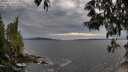./images/koeye/fitz-hugh/20250518/fitz-hugh20250518_193508M.jpg