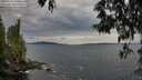 ./images/koeye/fitz-hugh/20250518/fitz-hugh20250518_194009M.jpg