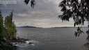 ./images/koeye/fitz-hugh/20250518/fitz-hugh20250518_194508M.jpg