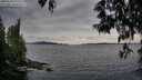 ./images/koeye/fitz-hugh/20250518/fitz-hugh20250518_195508M.jpg