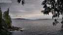 ./images/koeye/fitz-hugh/20250518/fitz-hugh20250518_200508M.jpg