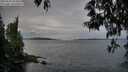 ./images/koeye/fitz-hugh/20250518/fitz-hugh20250518_203009M.jpg