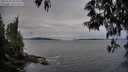 ./images/koeye/fitz-hugh/20250518/fitz-hugh20250518_203508M.jpg