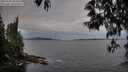 ./images/koeye/fitz-hugh/20250518/fitz-hugh20250518_204508M.jpg