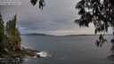 ./images/koeye/fitz-hugh/20250518/fitz-hugh20250518_205508M.jpg