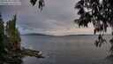 ./images/koeye/fitz-hugh/20250518/fitz-hugh20250518_210009M.jpg
