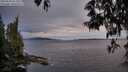 ./images/koeye/fitz-hugh/20250518/fitz-hugh20250518_211008M.jpg