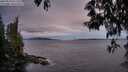 ./images/koeye/fitz-hugh/20250518/fitz-hugh20250518_211509M.jpg