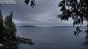 ./images/koeye/fitz-hugh/20250518/fitz-hugh20250518_213509M.jpg