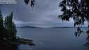 ./images/koeye/fitz-hugh/20250518/fitz-hugh20250518_214009M.jpg