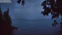 ./images/koeye/fitz-hugh/20250519/fitz-hugh20250519_045509M.jpg