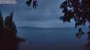 ./images/koeye/fitz-hugh/20250519/fitz-hugh20250519_050008M.jpg