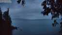 ./images/koeye/fitz-hugh/20250519/fitz-hugh20250519_050508M.jpg