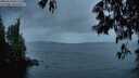 ./images/koeye/fitz-hugh/20250519/fitz-hugh20250519_051508M.jpg